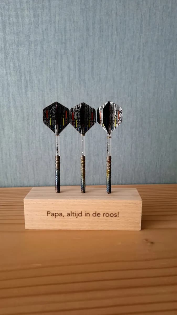 Dart holder